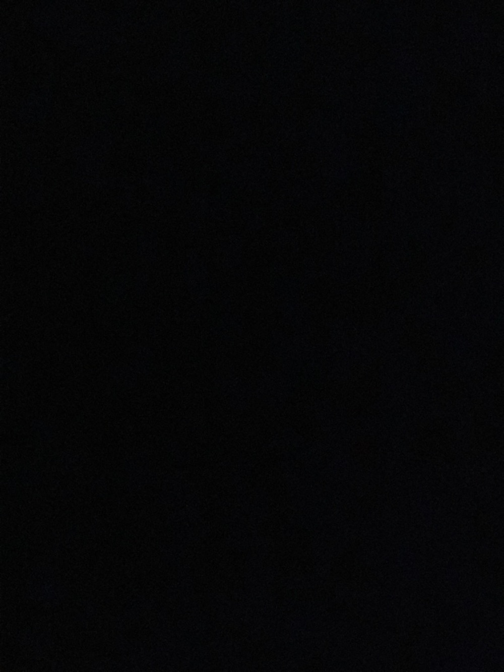 Meet your Posher, Laila